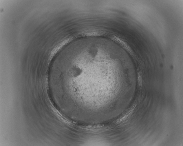 X0000074340725200609011627