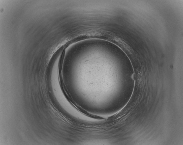 X0000074340727200609011627