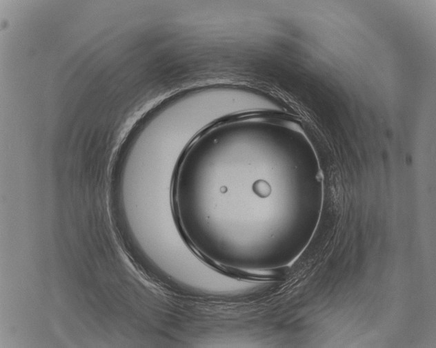 X0000074340728200609011627