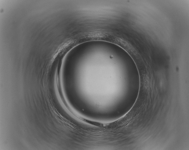 X0000074340731200609011627