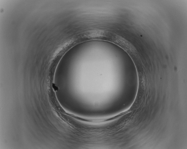 X0000074340732200609011627