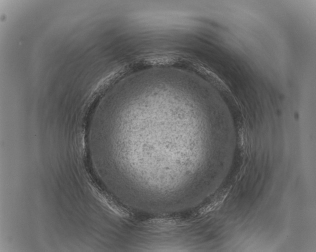 X0000074340733200609011627