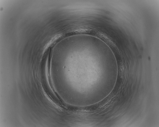 X0000074340734200609011627