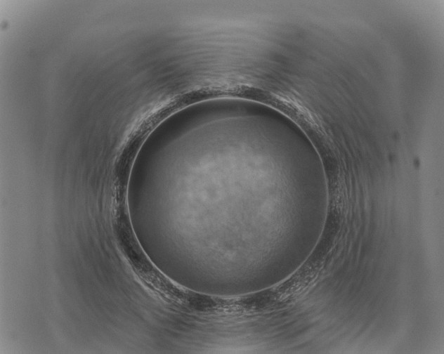 X0000074340736200609011627