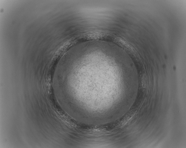 X0000074340737200609011627