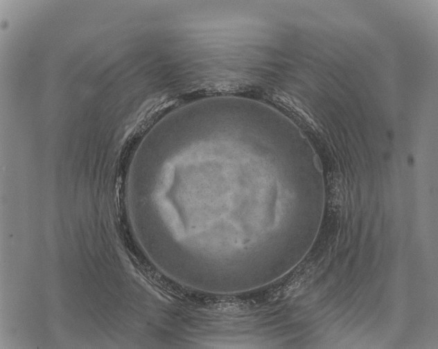 X0000074340738200609011627