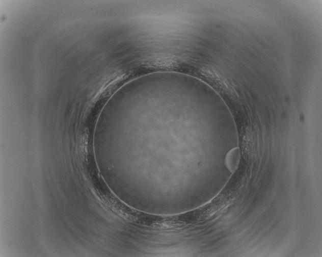 X0000074340739200609011627