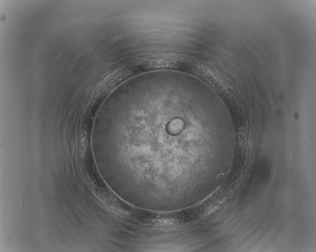 X0000074340741200609011627