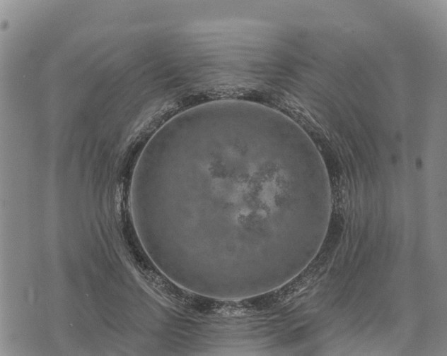 X0000074340742200609011627