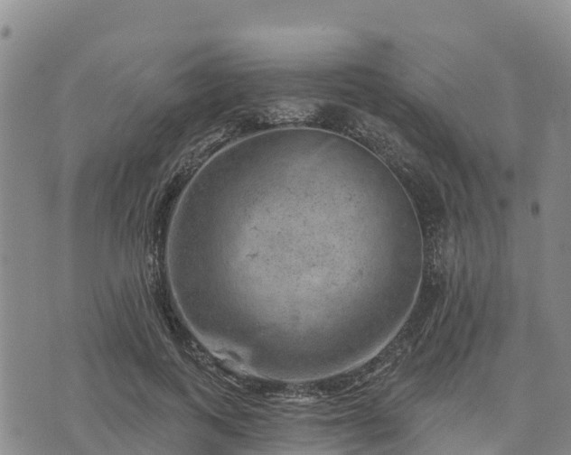 X0000074340743200609011627