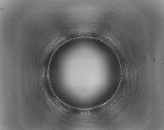 X0000074340744200609011627