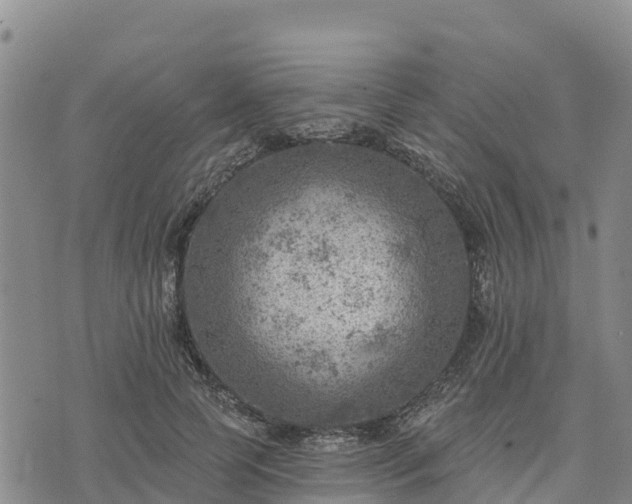 X0000074340745200609011627