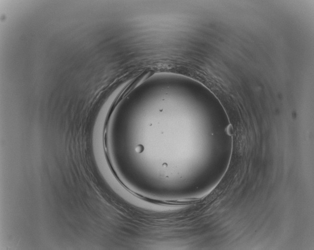 X0000074340747200609011627