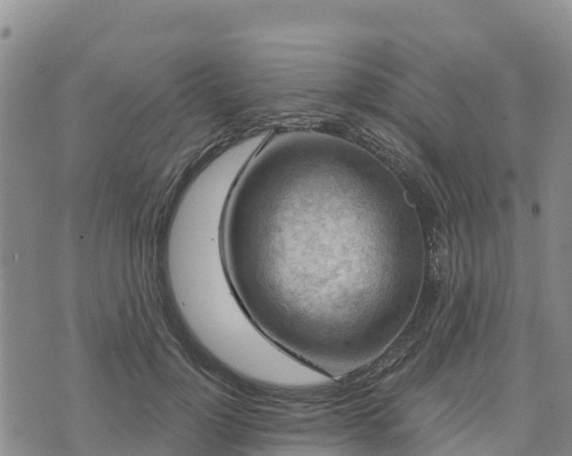 X0000074340748200609011627