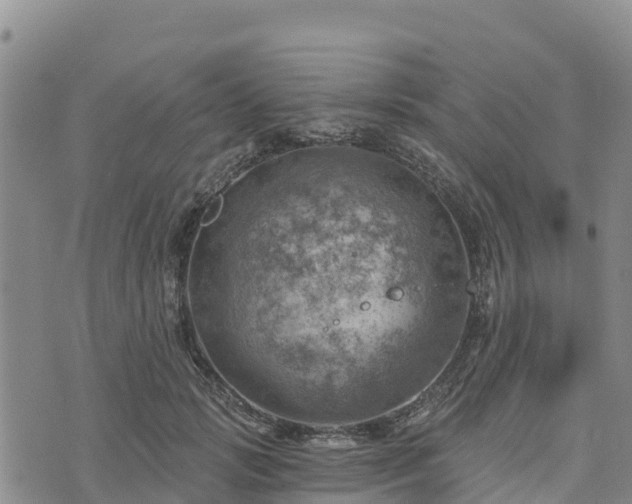 X0000074340749200609011627