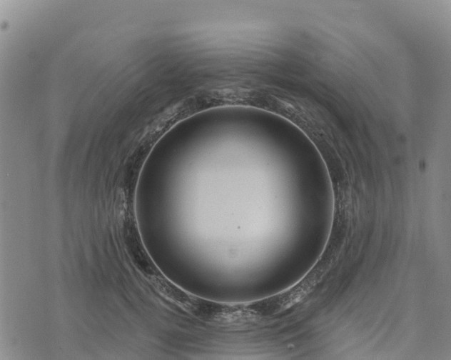 X0000074340752200609011627