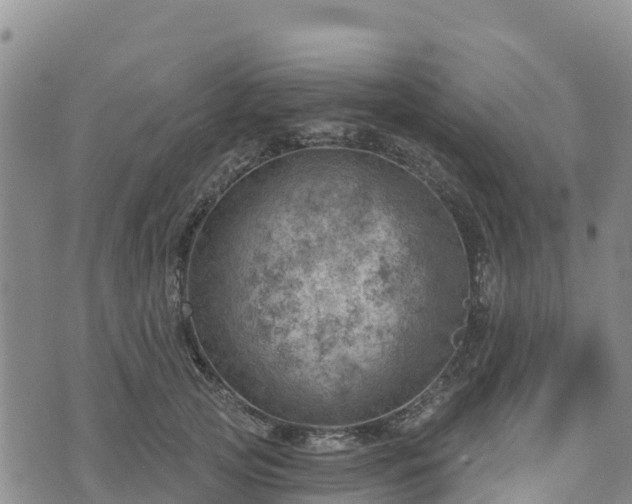 X0000074340753200609011627