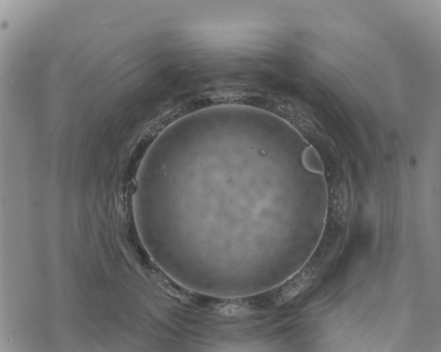 X0000074340755200609011628