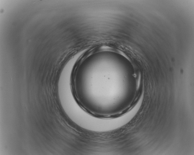 X0000074340756200609011628