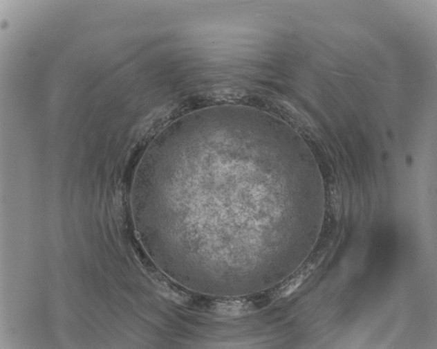 X0000074340757200609011628