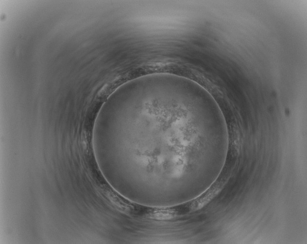 X0000074340758200609011628