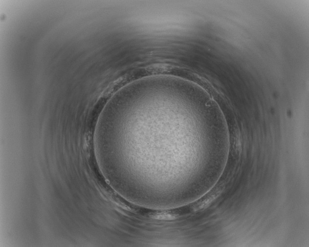 X0000074340759200609011628