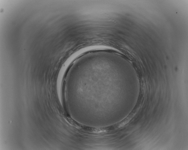 X0000074340760200609011628