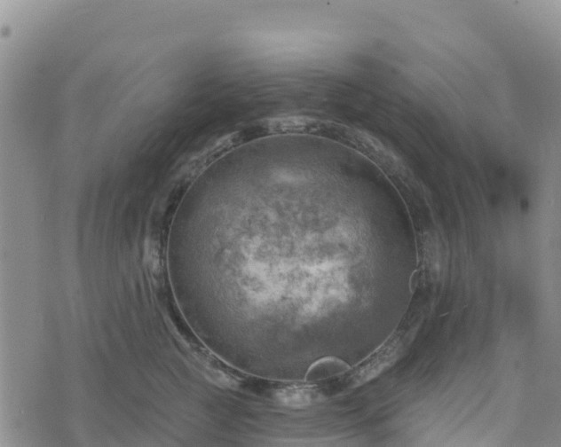 X0000074340761200609011628