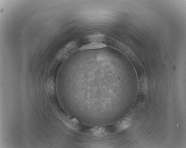 X0000074340762200609011628