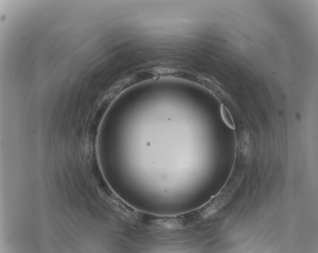 X0000074340763200609011628