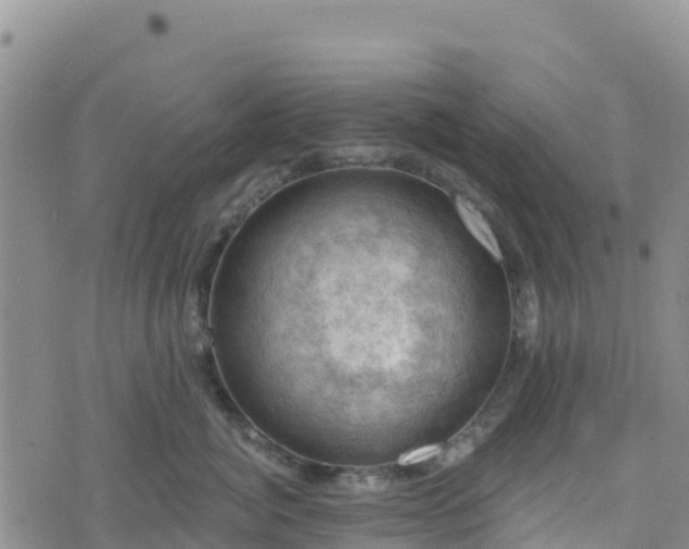 X0000074340764200609011628