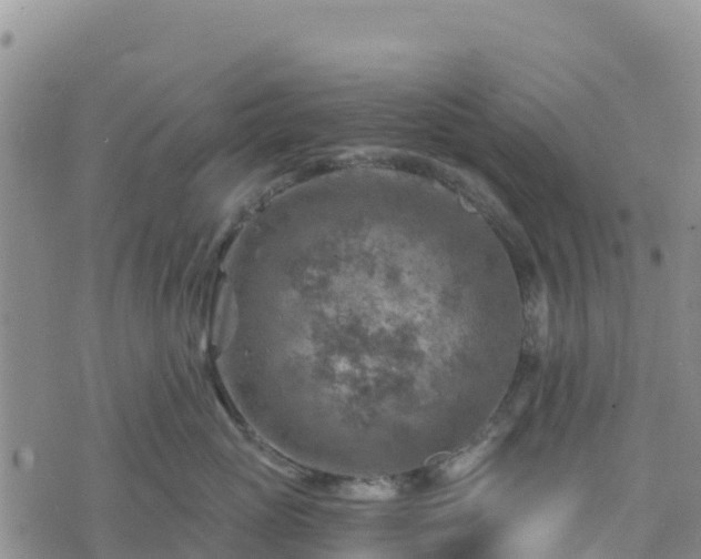 X0000074340765200609011628