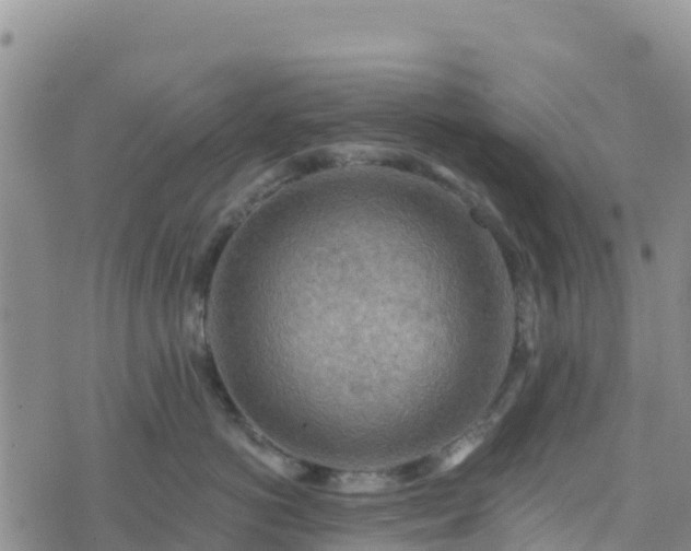 X0000074340766200609011628