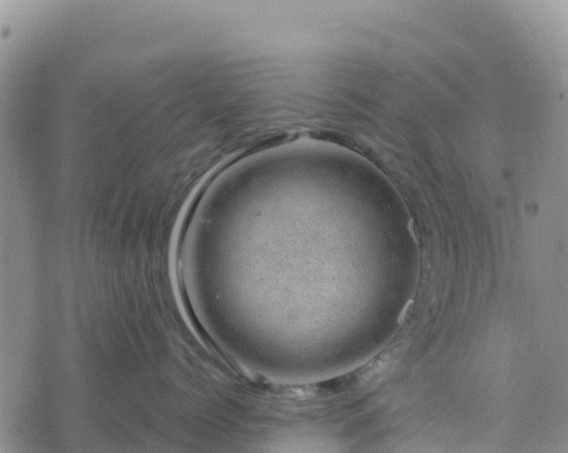 X0000074340768200609011628