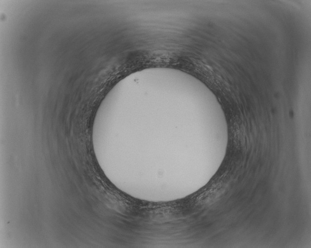 X0000074340769200609011627