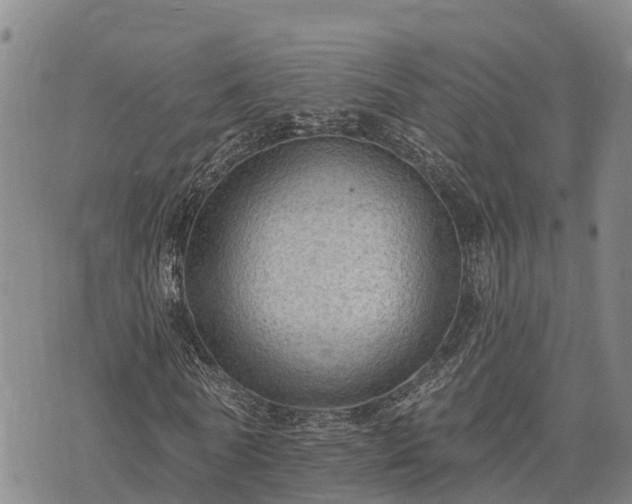 X0000074340770200609011627