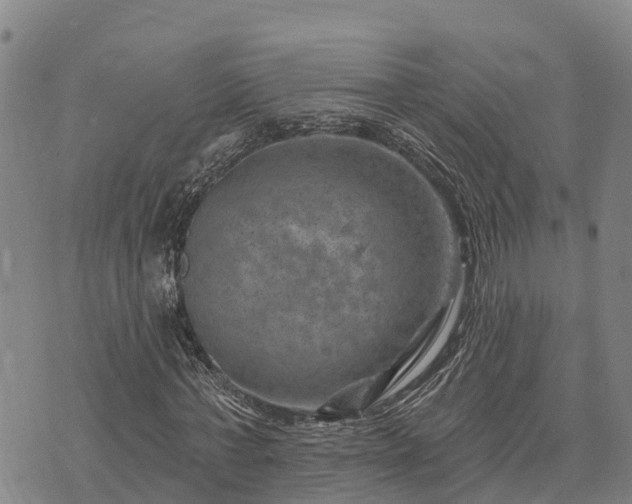 X0000074340771200609011627