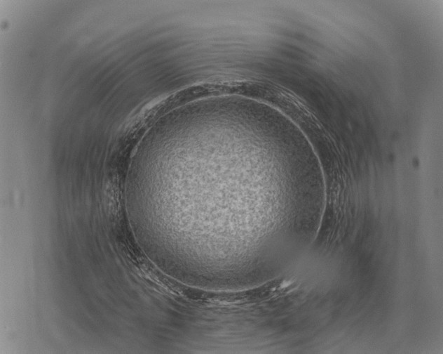 X0000074340773200609011627