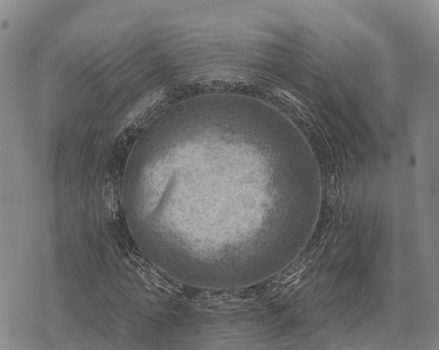 X0000074340774200609011627