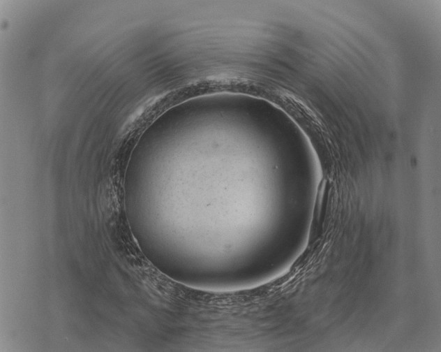 X0000074340776200609011627