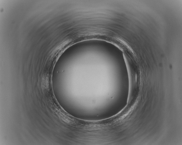 X0000074340777200609011627