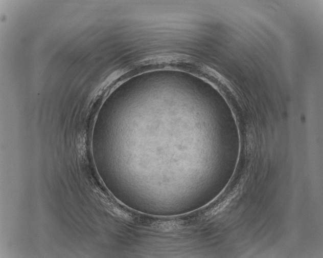 X0000074340778200609011627