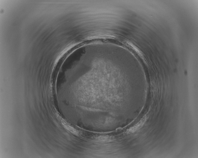 X0000074340779200609011627