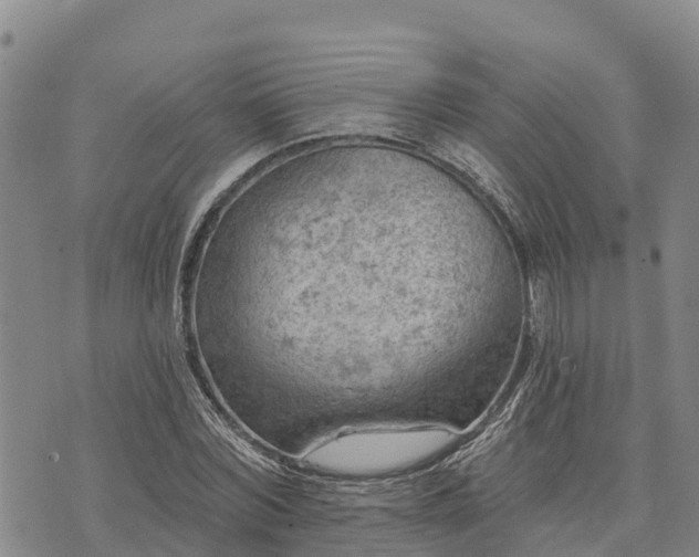 X0000074340780200609011627