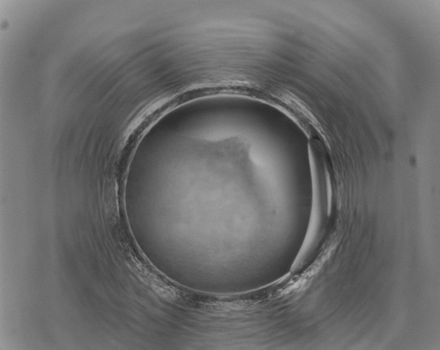 X0000074340781200609011627