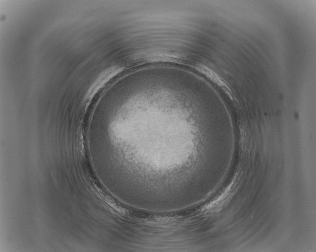 X0000074340782200609011627