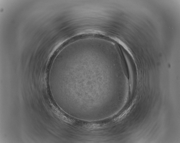 X0000074340783200609011627