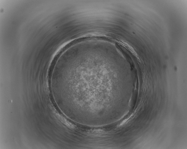 X0000074340784200609011627