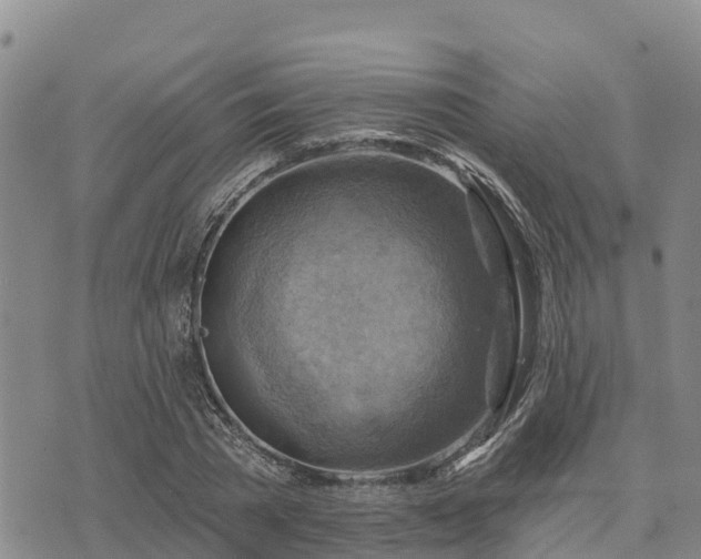 X0000074340785200609011627