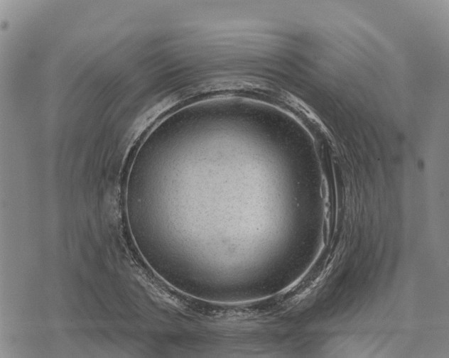 X0000074340786200609011627